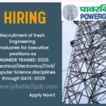 latest government job for fresher / Government job form powergrid