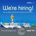 indigo job vacancies 2024