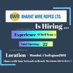 Latest Top 15 Job Openings at BWR - 2025