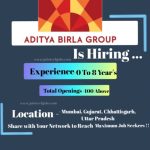 Aditya Birla Group Latest Job Opportunities - 2025