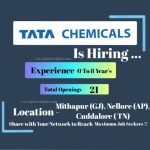 Top 10 Latest Jobs at TCL-2025