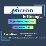 Micron Latest Job Opportunities-2025