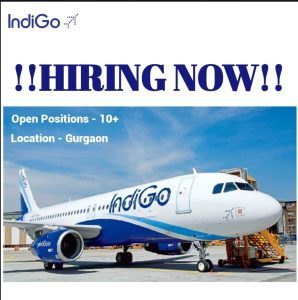 Jindal Stainless Exciting Job Opportunities