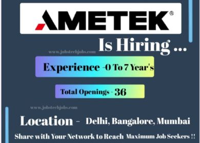 Process Engineer
