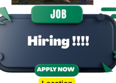 12 Amazing Renault Group Jobs Opportunity
