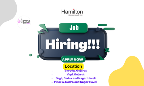 Exciting Job Opporchunities at Hamilton Group